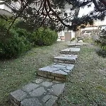 Matilde's House