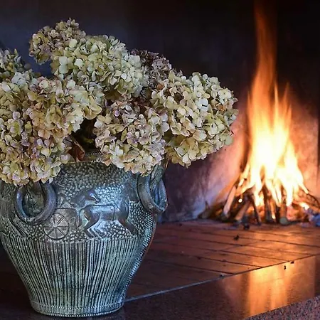 Matilde's House * 리코 델 골포 디 스페지아