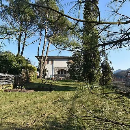 Matilde's House
