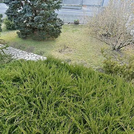 شقة Matilde's House ريكو ديل غولفو دي سبيزيا