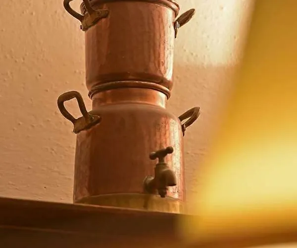 Apartman Matilde's House *